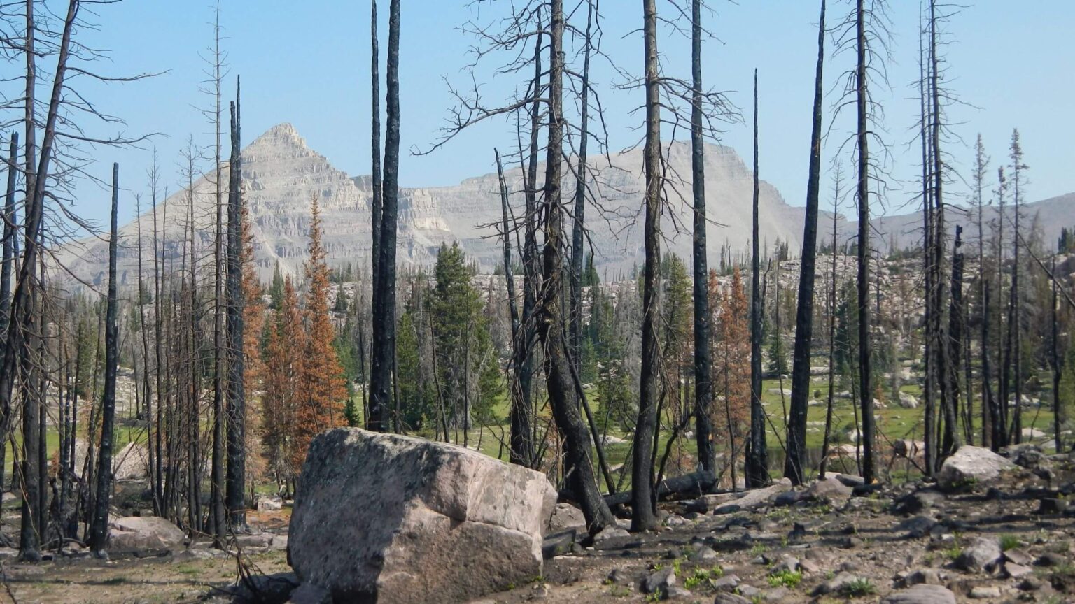 High Uintas Wilderness, East Fork Fire upper Rock Creek basin, July2021