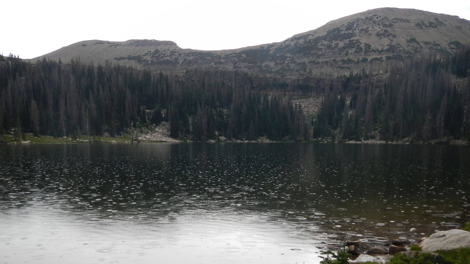 High Uintas Wilderness, Jordan Lake Naturalist Basin, July2021