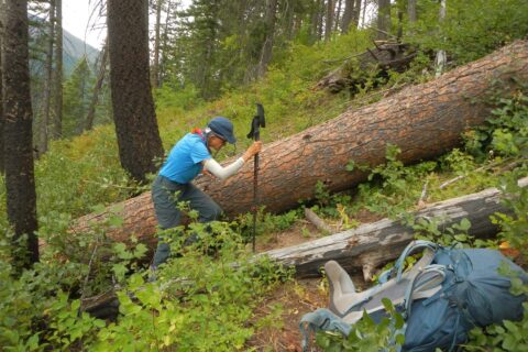 Frank: Bargamin Creek, large log required pack ferry