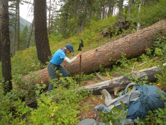 Frank: Bargamin Creek, large log required pack ferry
