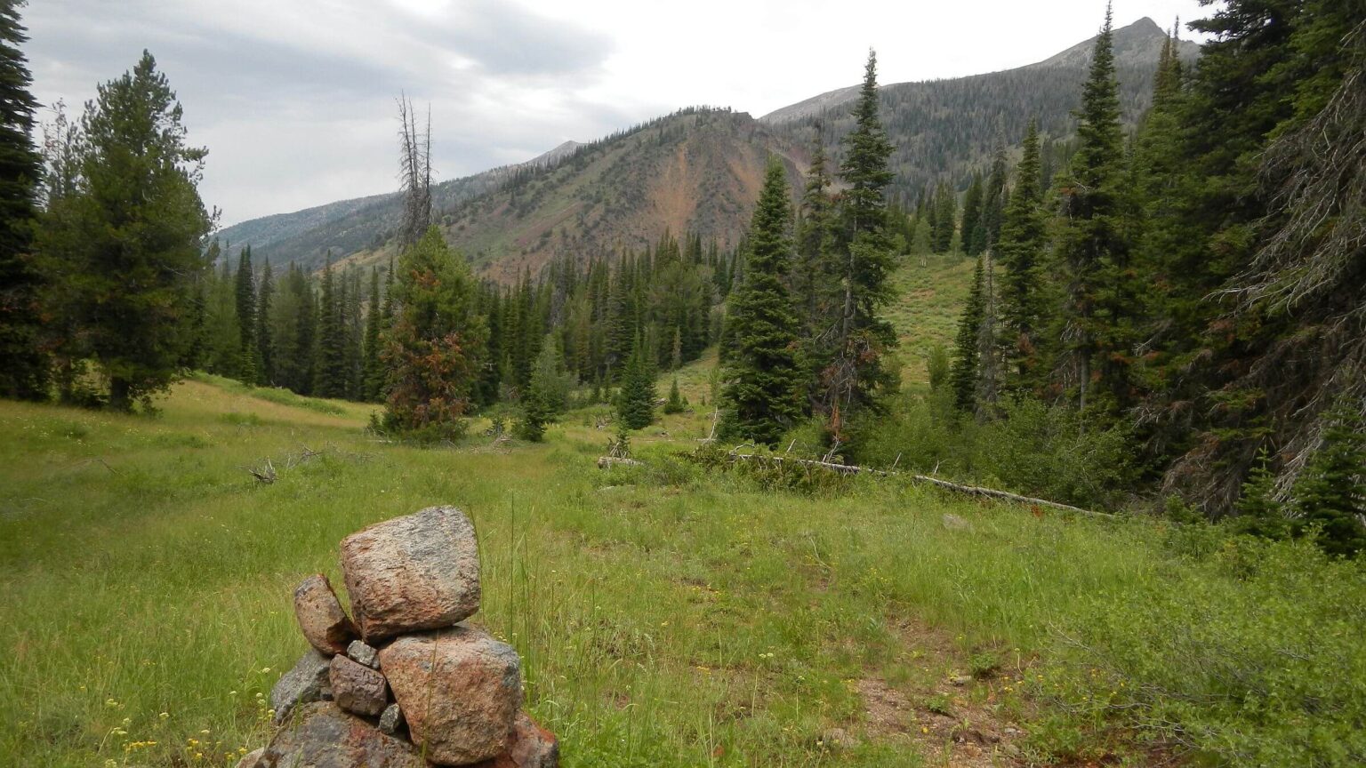 Jarbidge Wilderness, backpacking, Jarbidge River canyon, July