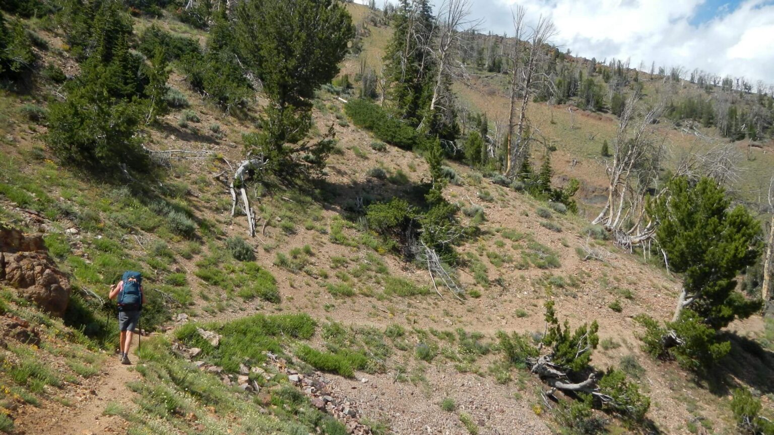 Jarbidge Wilderness, backpacking, Gods Pocket Peak Trail, July