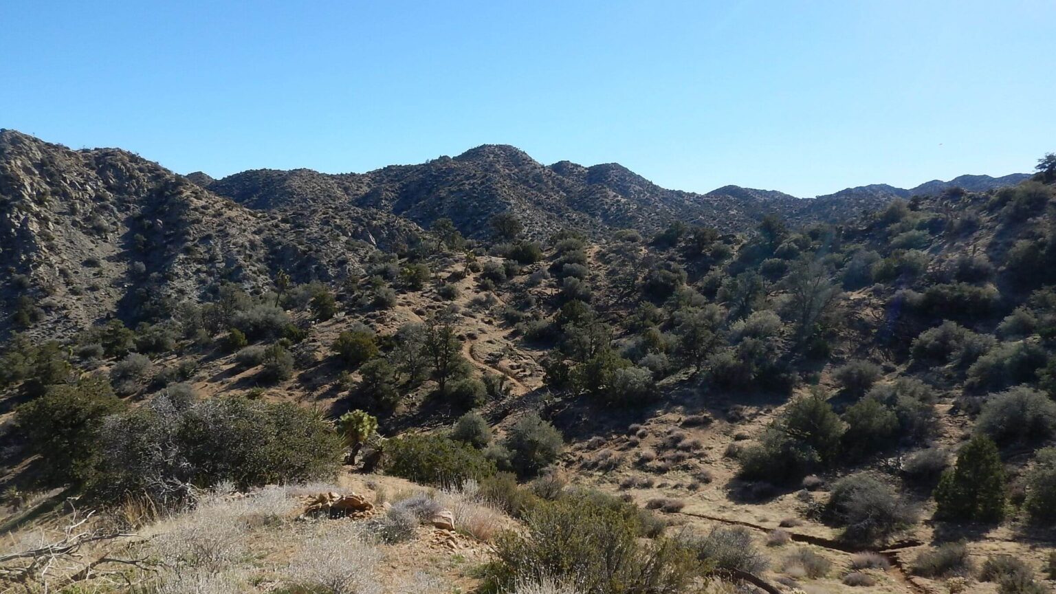 Joshua Tree Wilderness, Little San Bernardino Mountains, February