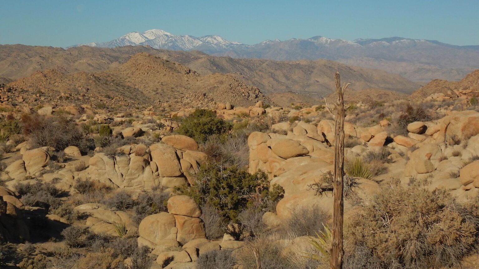 Joshua Tree Wilderness, San Bernardino Mountains view, February