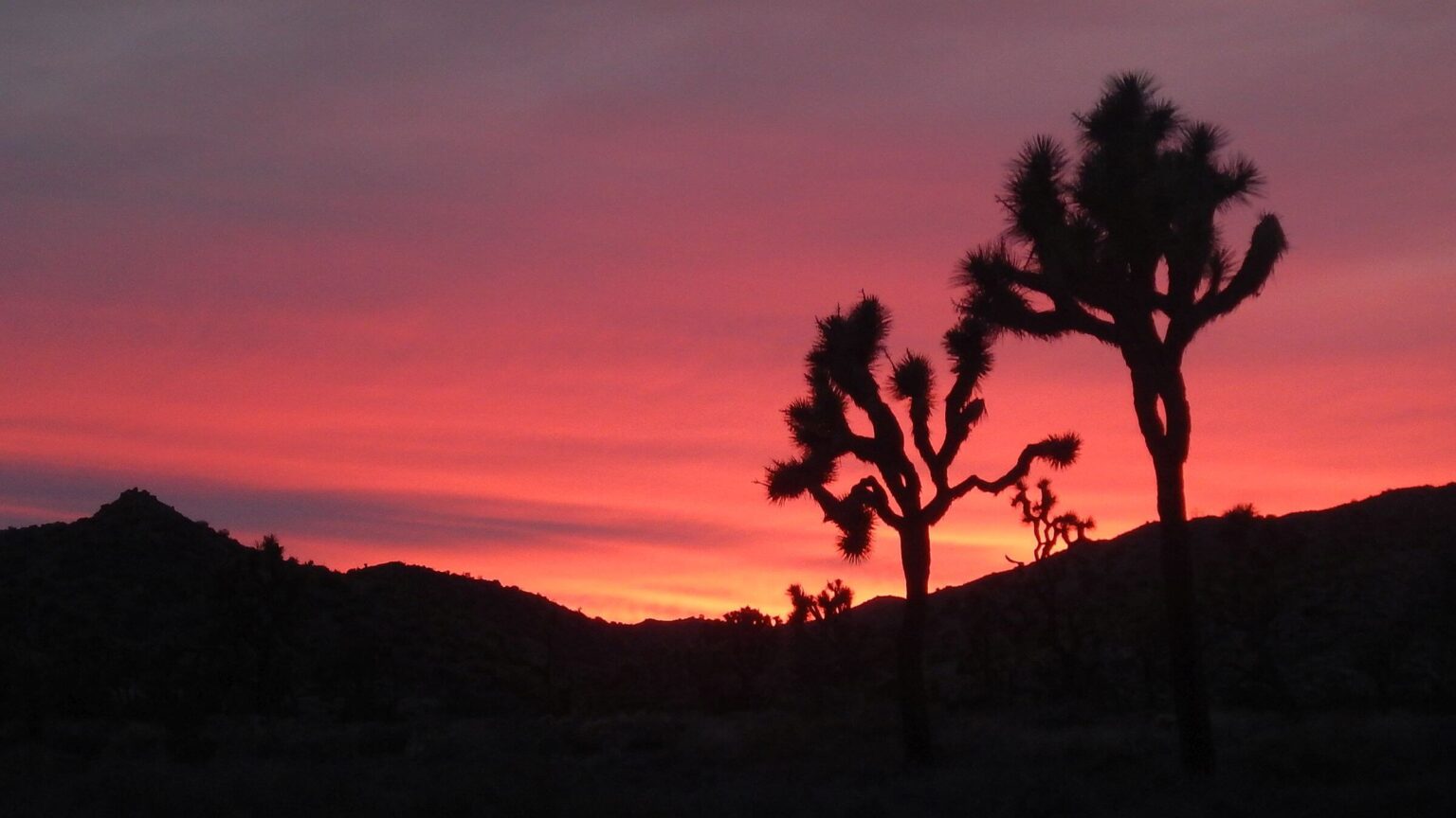 Joshua Tree Wilderness, Little San Bernardino Mountains sunset, February