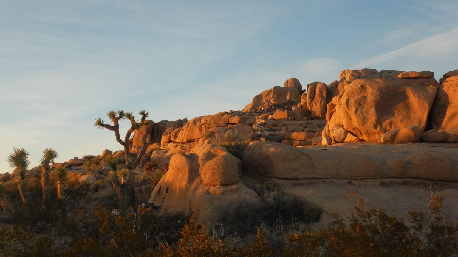 Joshua Tree Wilderness, monzogranite rocks, February