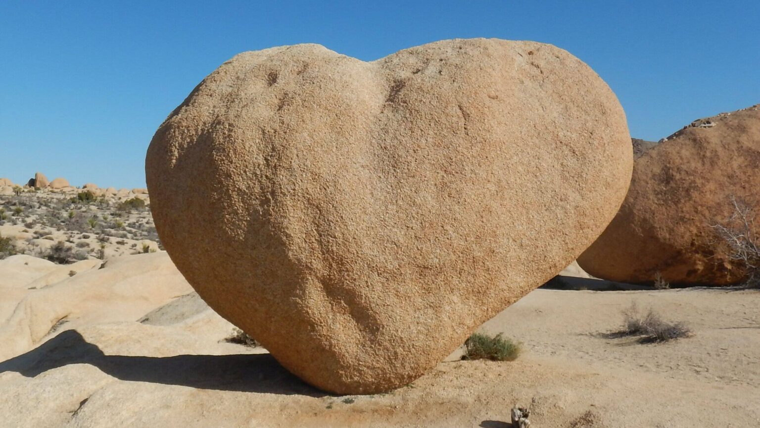 Joshua Tree Wilderness, Heart Rock, February