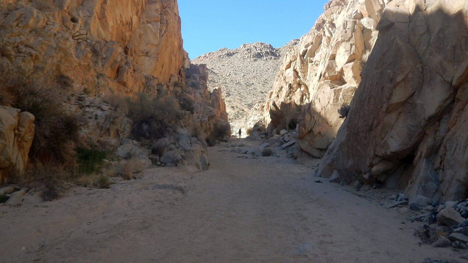 Joshua Tree Wilderness, steep-walled canyon wash, February