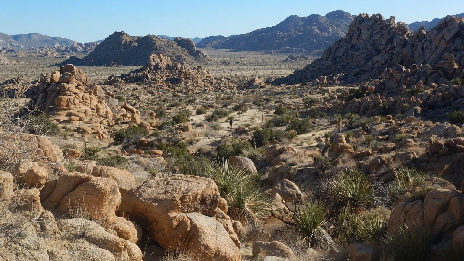 Joshua Tree Wilderness, Panorama Trail view, February