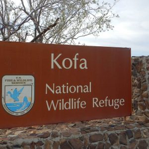 Kofa Wilderness backpacking, Refuge boundary sign, December