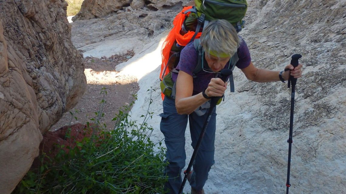 Kofa Wilderness backpacking, Yaqui Wash, December