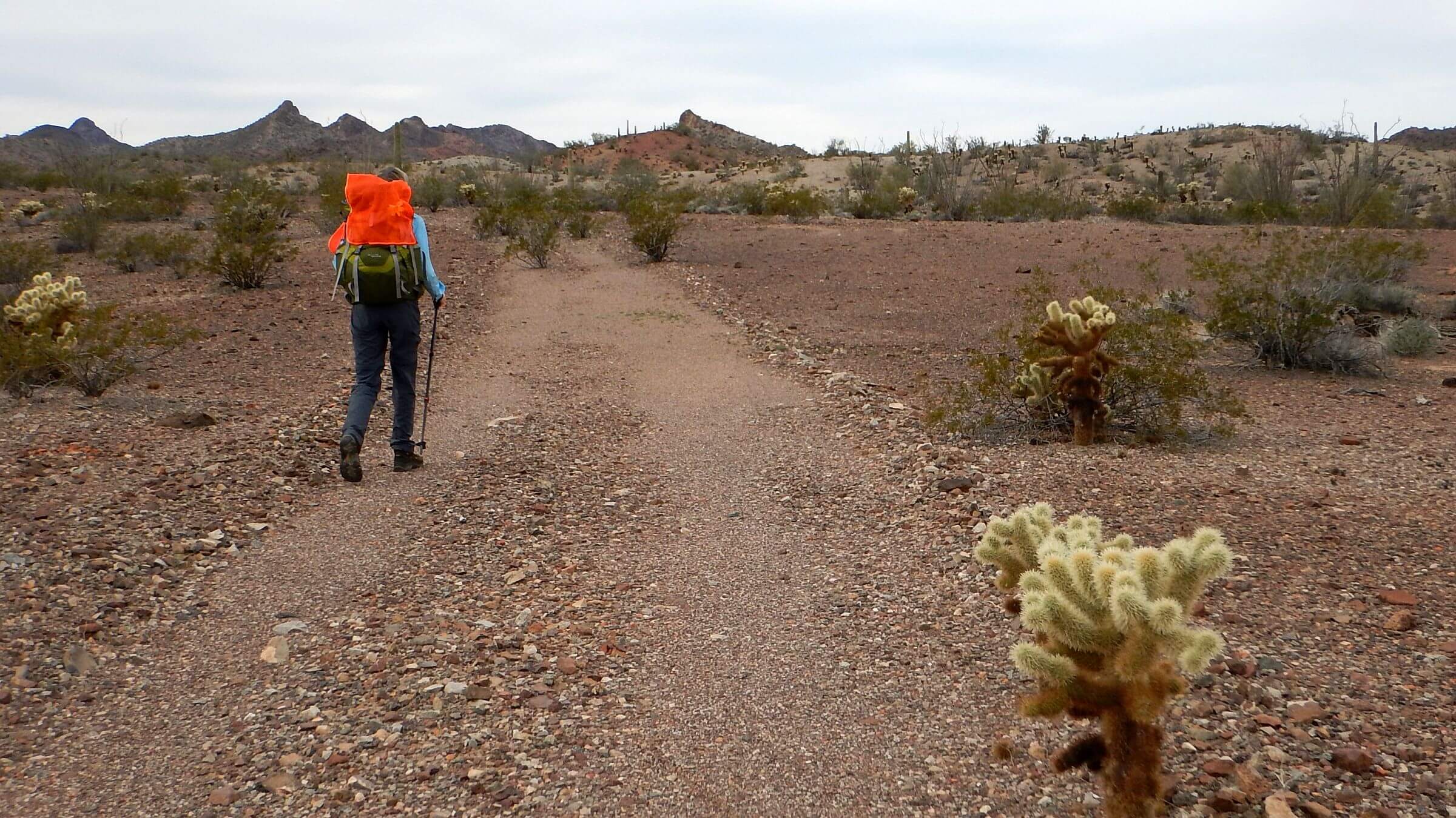 Kofa Wilderness backpacking, closed roads offer hiking path, December