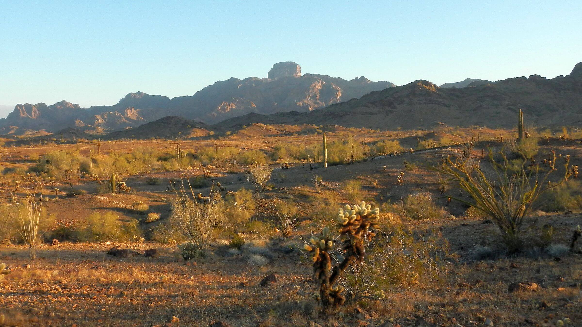 Kofa Wilderness, Castle Dome Peak, January 2026