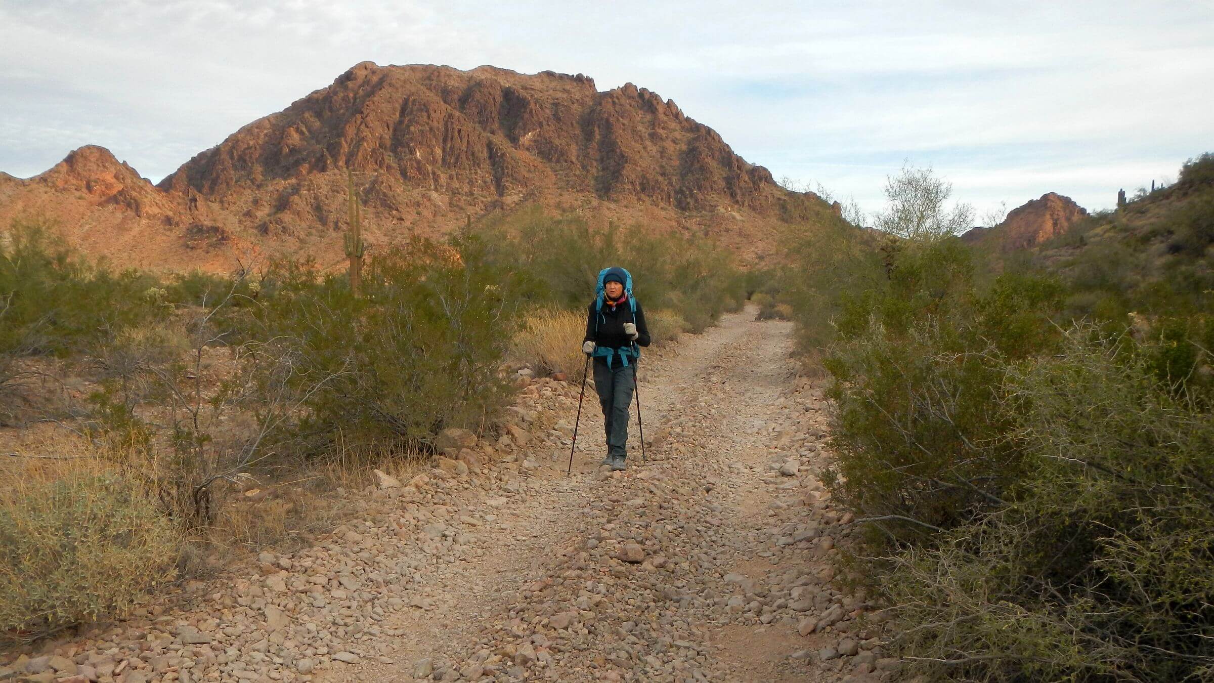 Kofa Wilderness, includes road corridors excluded from wilderness, January 2026