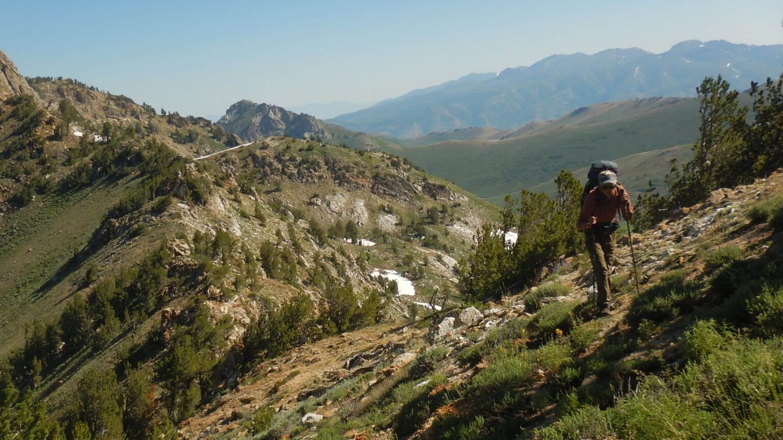 Ruby Mountains Wilderness, 10,000-ft elevation ridge, July 2023