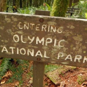 Olympic (DJ Evans) Wilderness, park sign, September