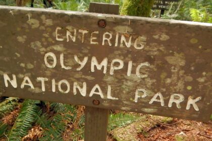 Olympic (DJ Evans) Wilderness, park sign, September