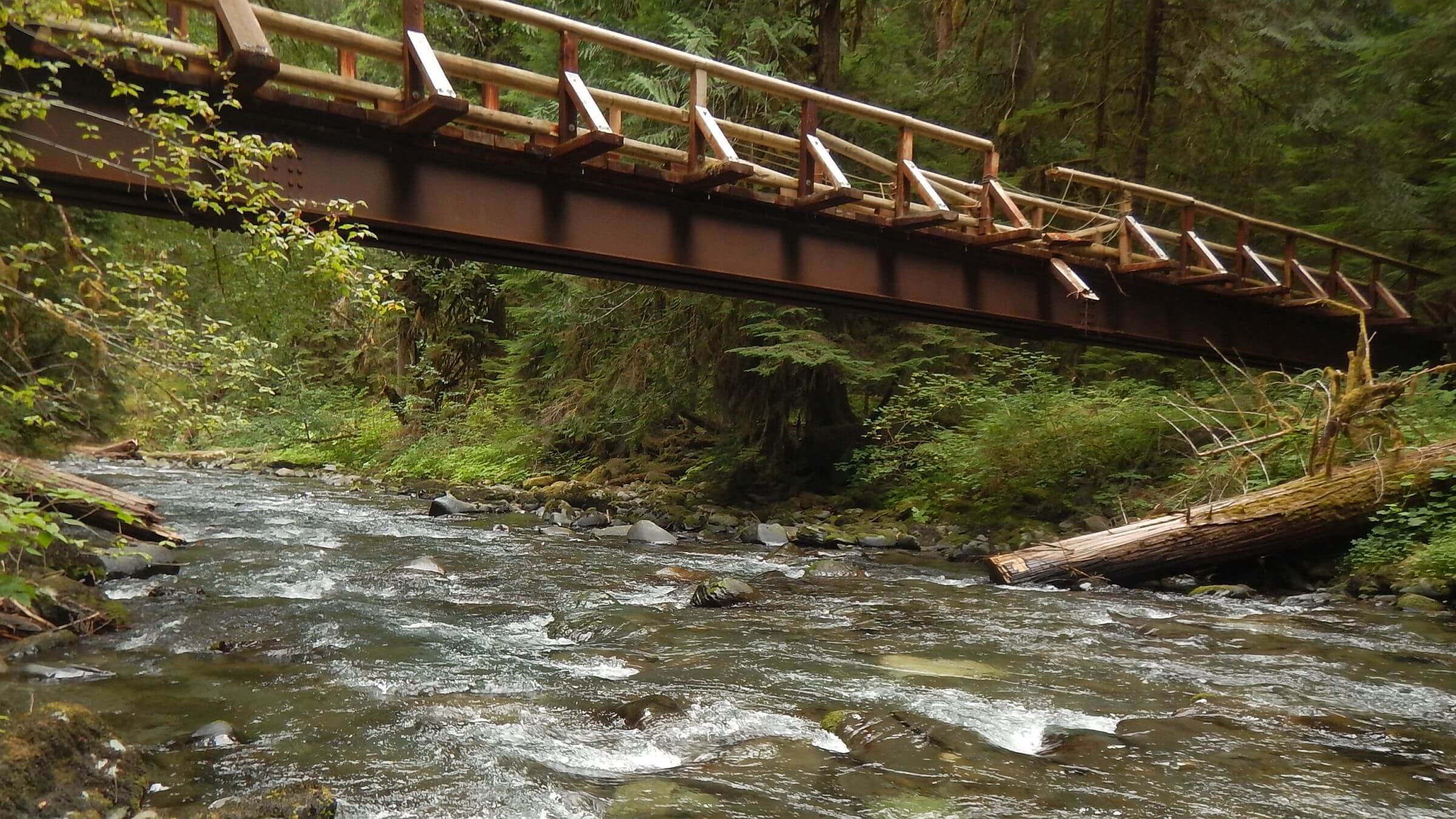 Buckhorn Wilderness, Gray Wolf River bridge, September