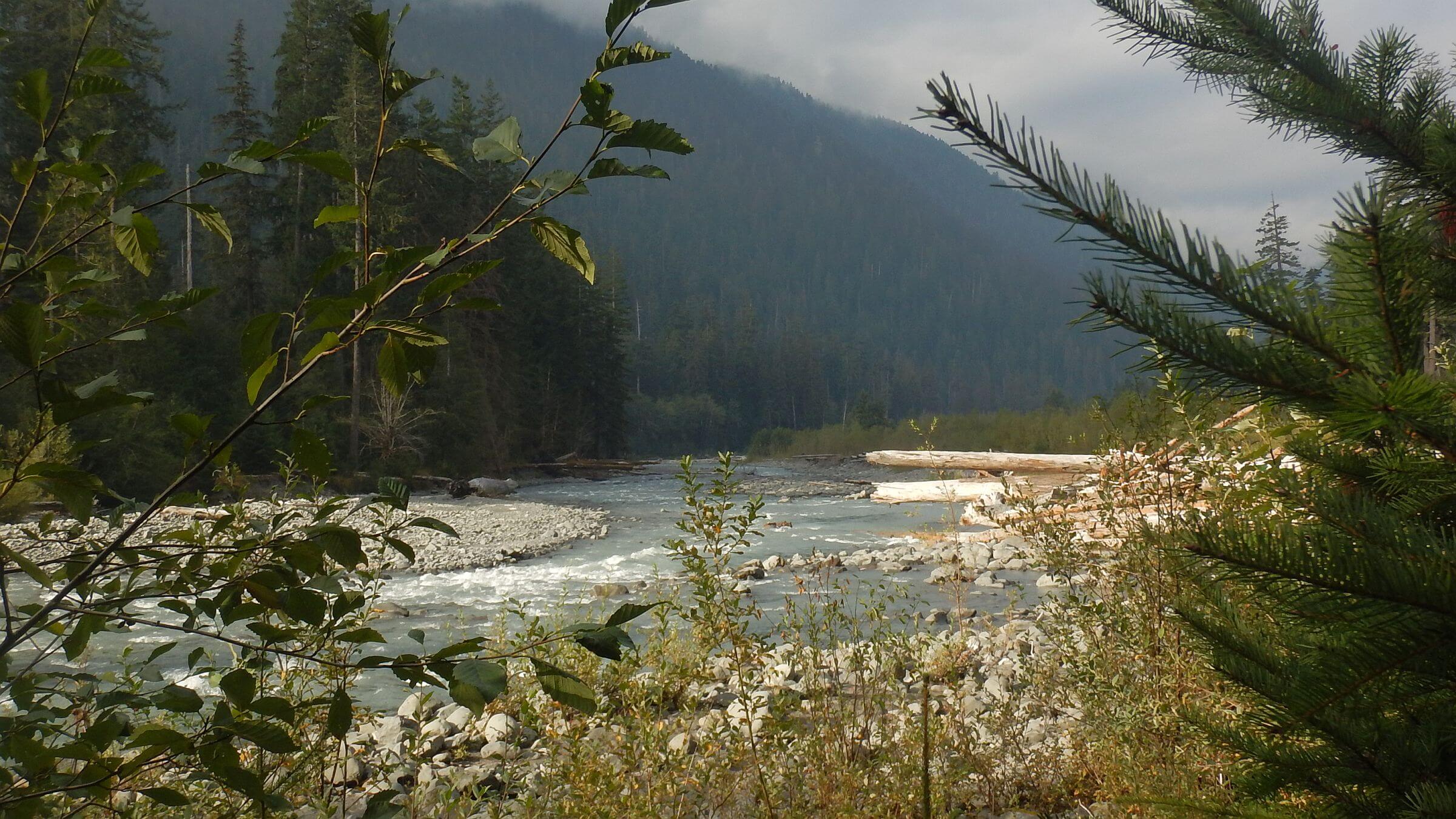 Olympic (DJ Evans) Wilderness, Hoh River, September