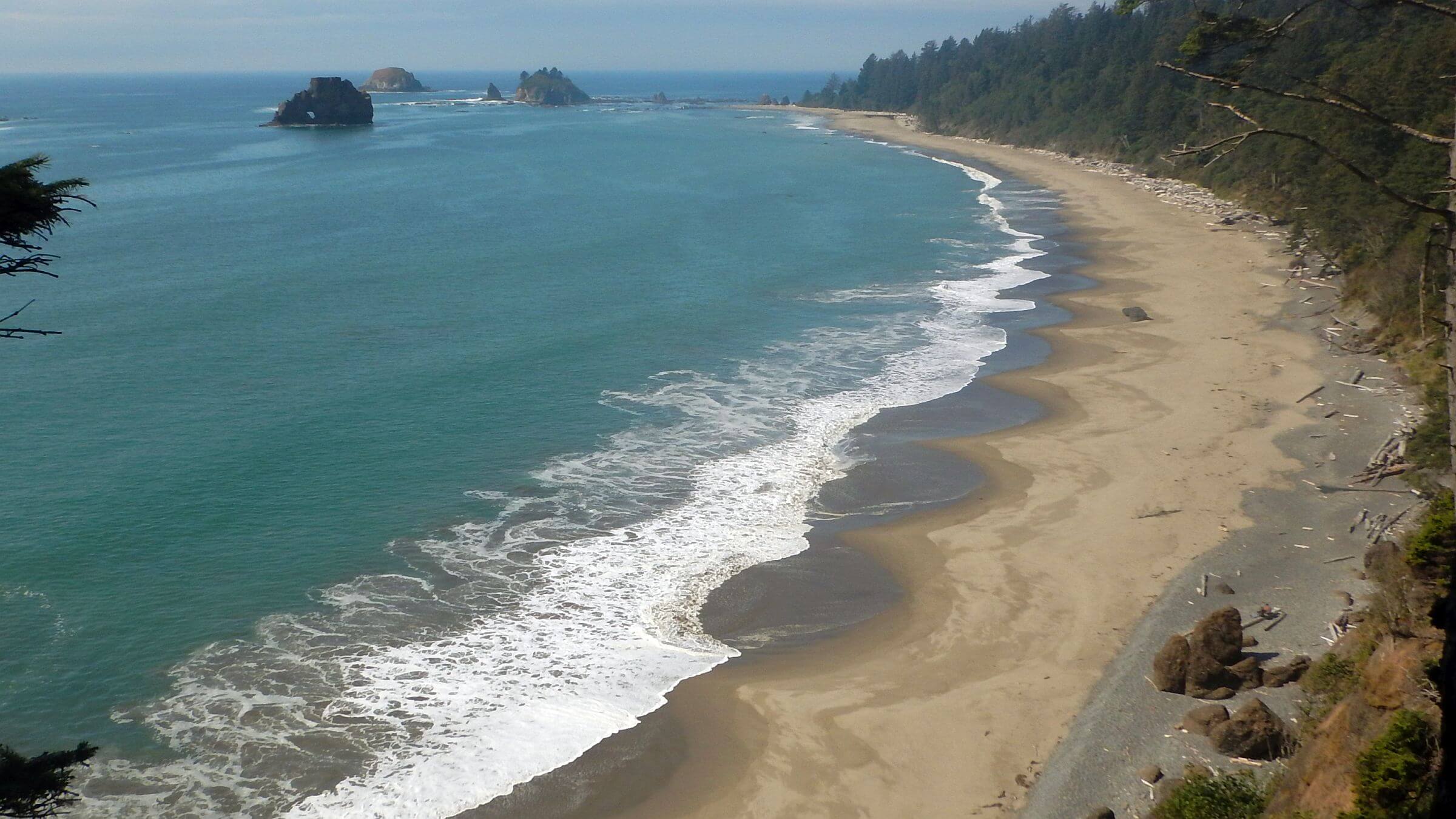 Olympic (DJ Evans) Wilderness, Toleak Point beach, September