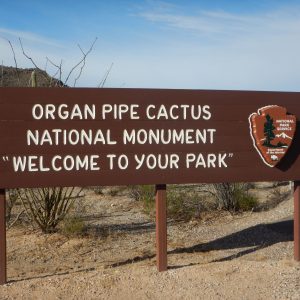 Organ Pipe Cactus Wilderness, Monument sign, January