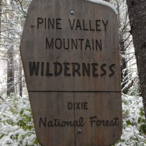 Pine Valley Mountain Wilderness, sign, May 2026