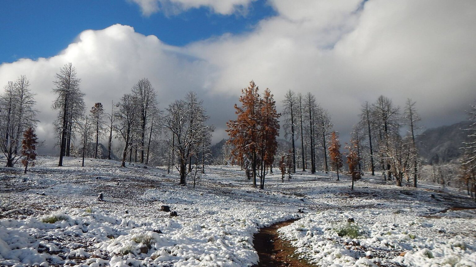 Pine Valley Mountain Wilderness, 2025 Forsyth Fire, 2026 May