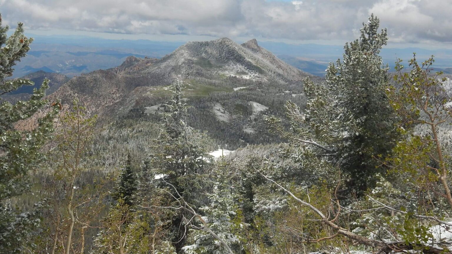 Pine Valley Mountain Wilderness, Saddle Mountains, 2026 May