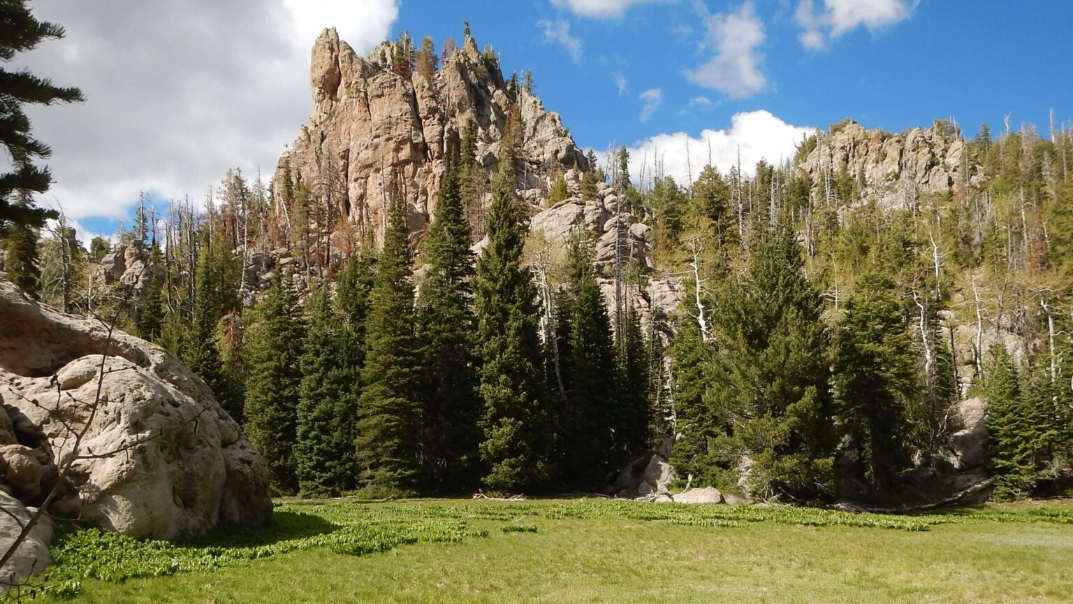 Pine Valley Mountain Wilderness, Middle Fork Santa Clara River headwaters, 2026 May