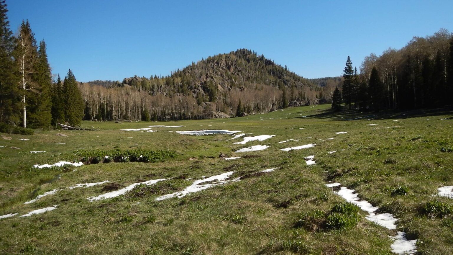 Pine Valley Mountain Wilderness, Whipple Valley, 2026 May