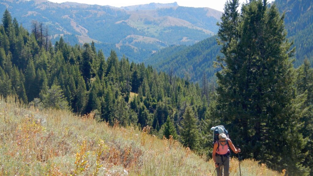 Pioneer Wilderness Study Area, Iron Mine Creek Trail, September