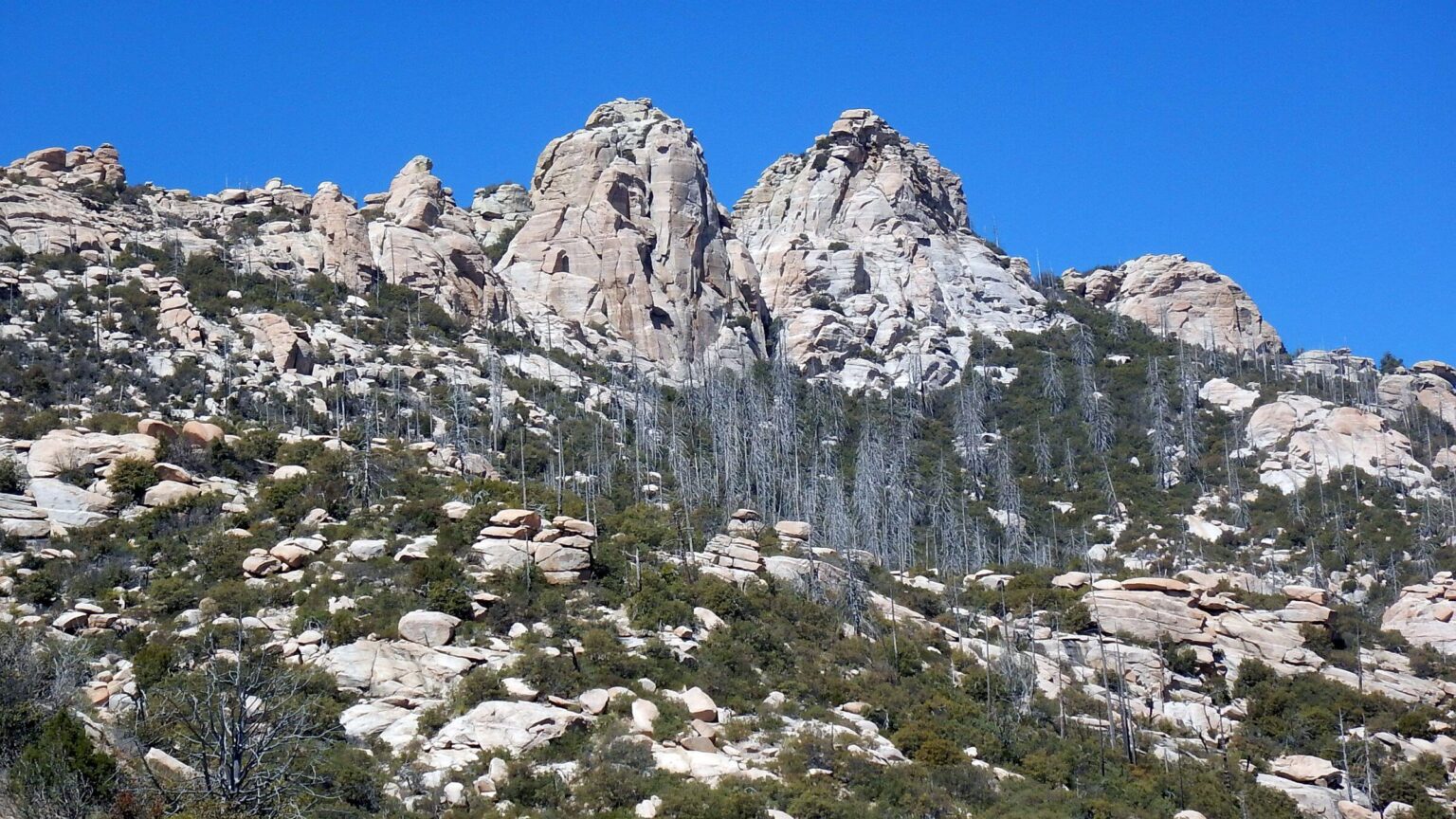Pusch Ridge Wilderness, Cathedral Rock, April 2023