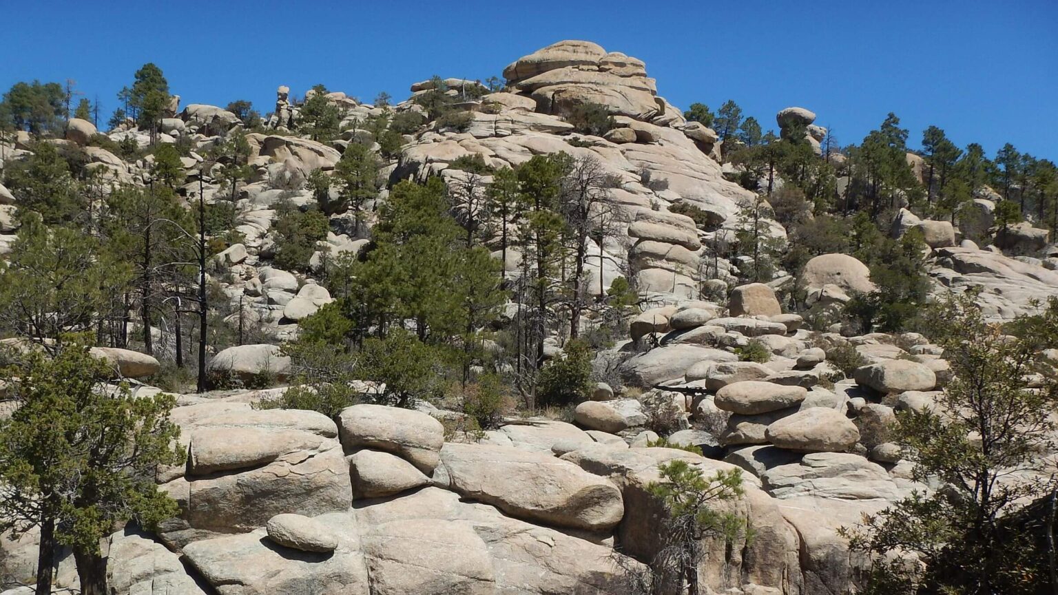 Pusch Ridge Wilderness, Wilderness of Rocks, May 2023