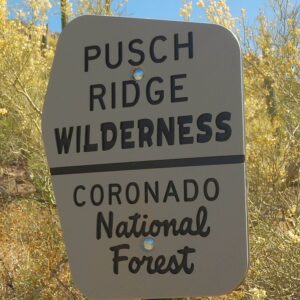 Pusch Ridge Wilderness, sign, May 2023