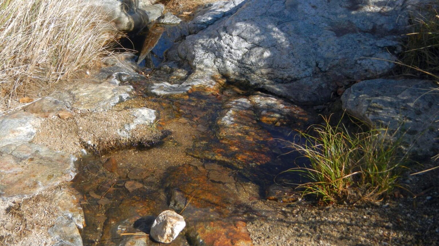 Saguaro Wilderness, Douglas Spring running, December