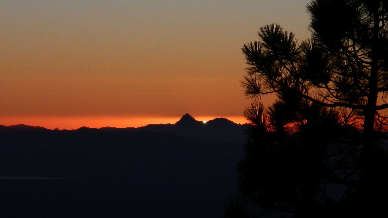 Saguaro Wilderness, Mount Wrightson sunset, December