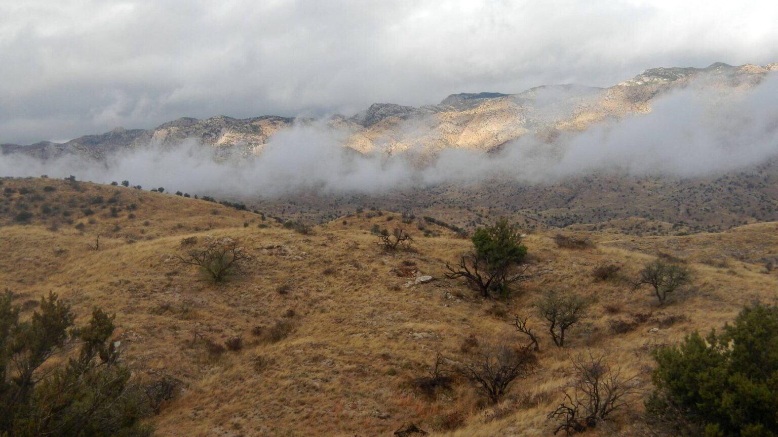 Coronado National Forest, Arizona Trail, December