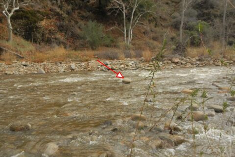"Rock" in middle of Sisquoc that caught Cindy, visible 25 hrs after flood surge.
