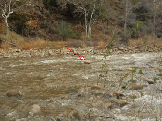 "Rock" in middle of Sisquoc that caught Cindy, visible 25 hrs after flood surge.