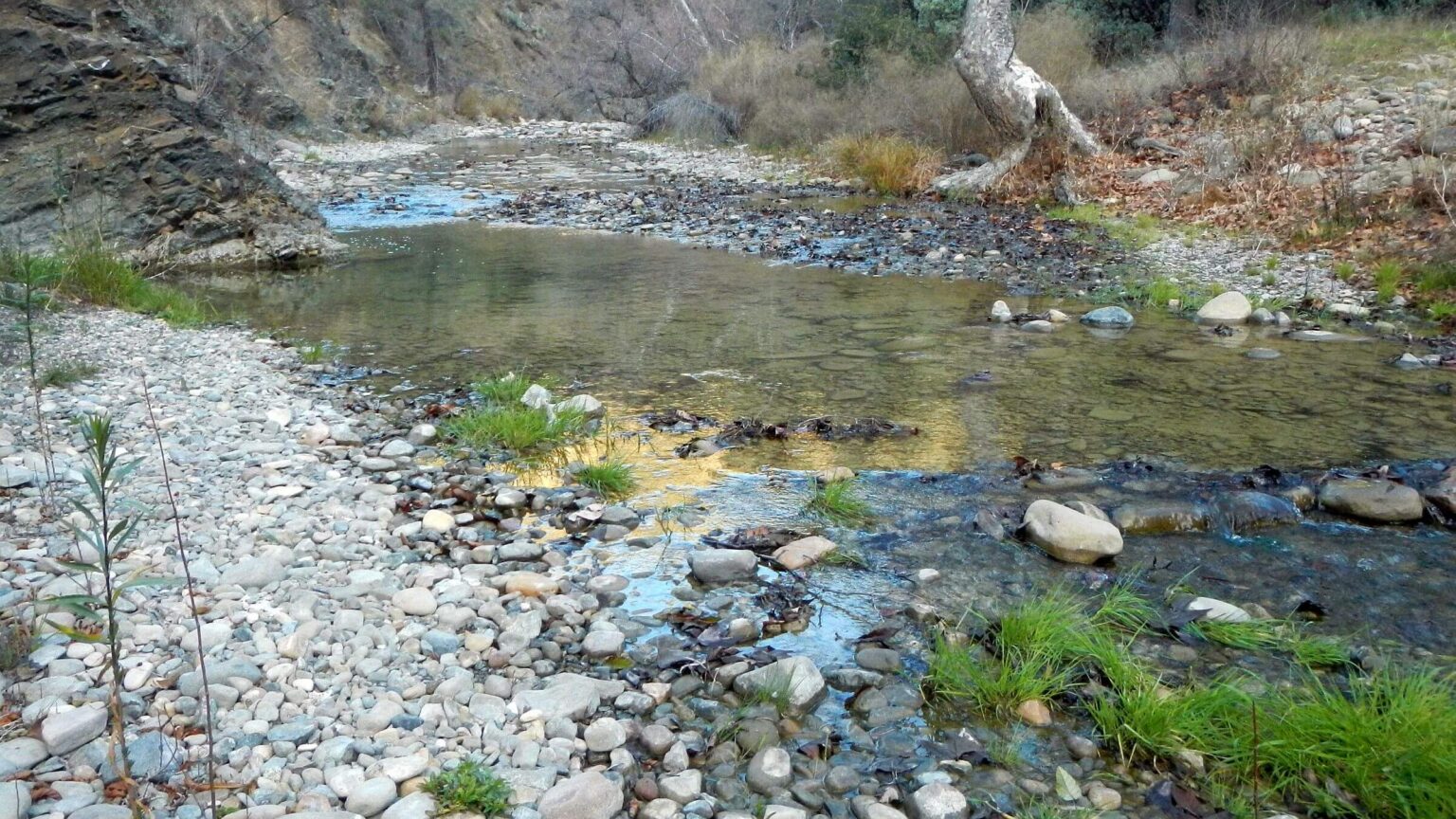 San Rafael Wilderness, Manzana Creek, February 2025