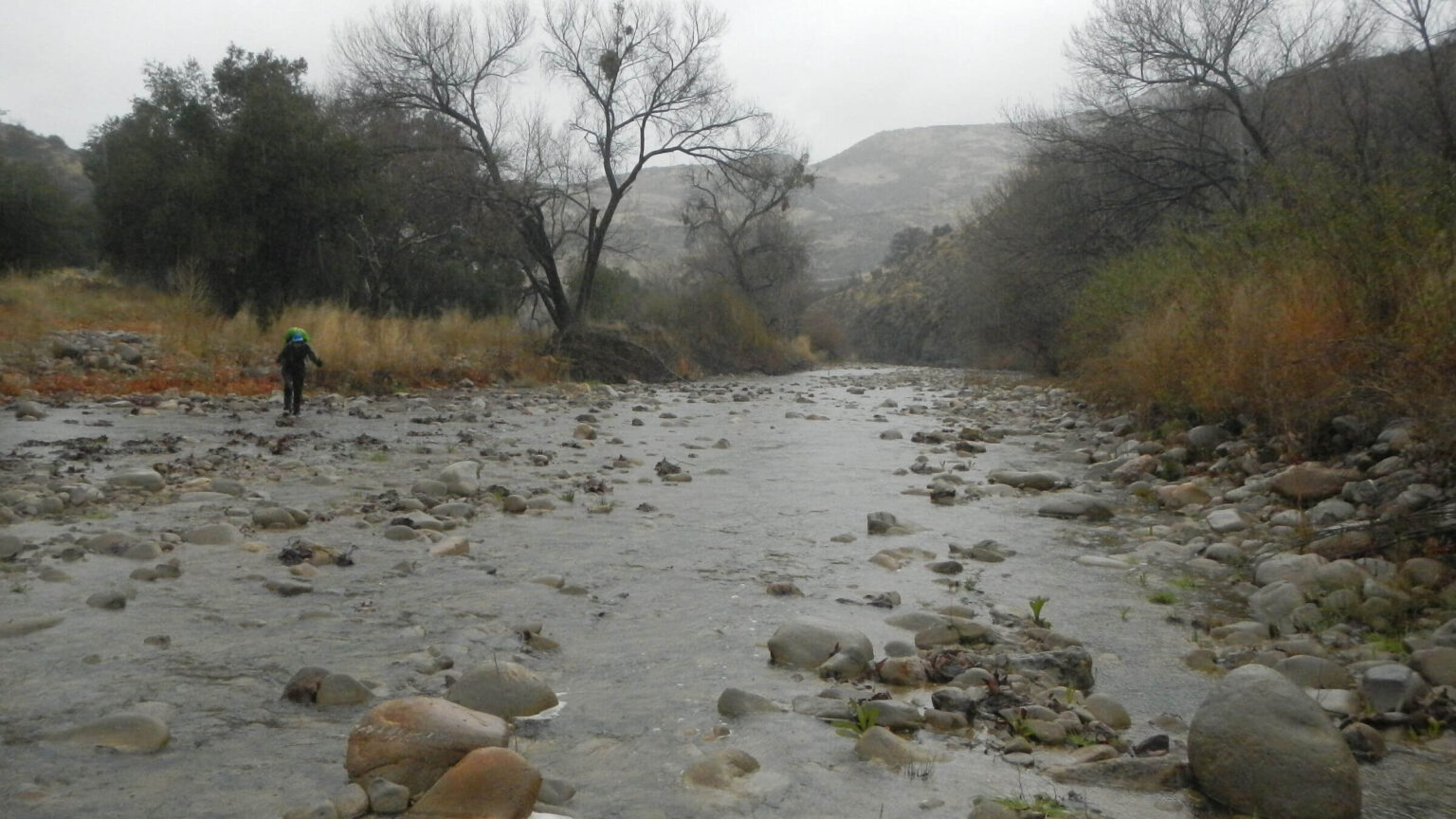 San Rafael Wilderness, Sisquoc River, February 2025