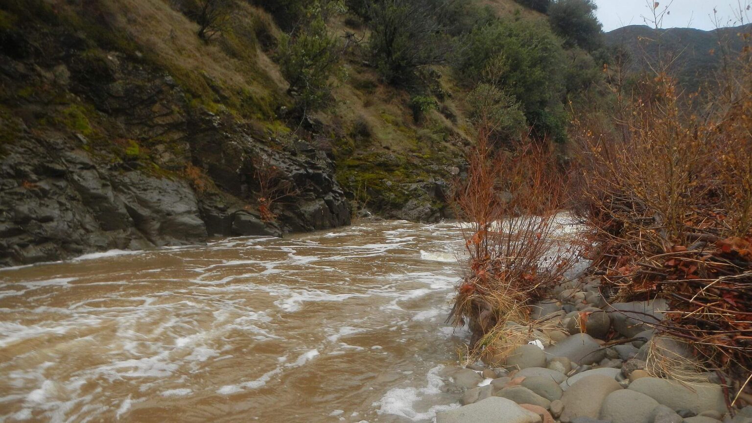 San Rafael Wilderness, Sisquoc River, February 2025