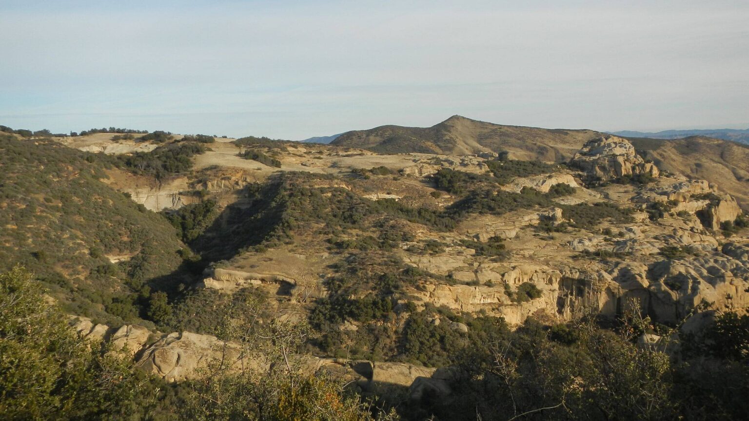 Los Padres National Forest, Salisbury Canyon, February 2025