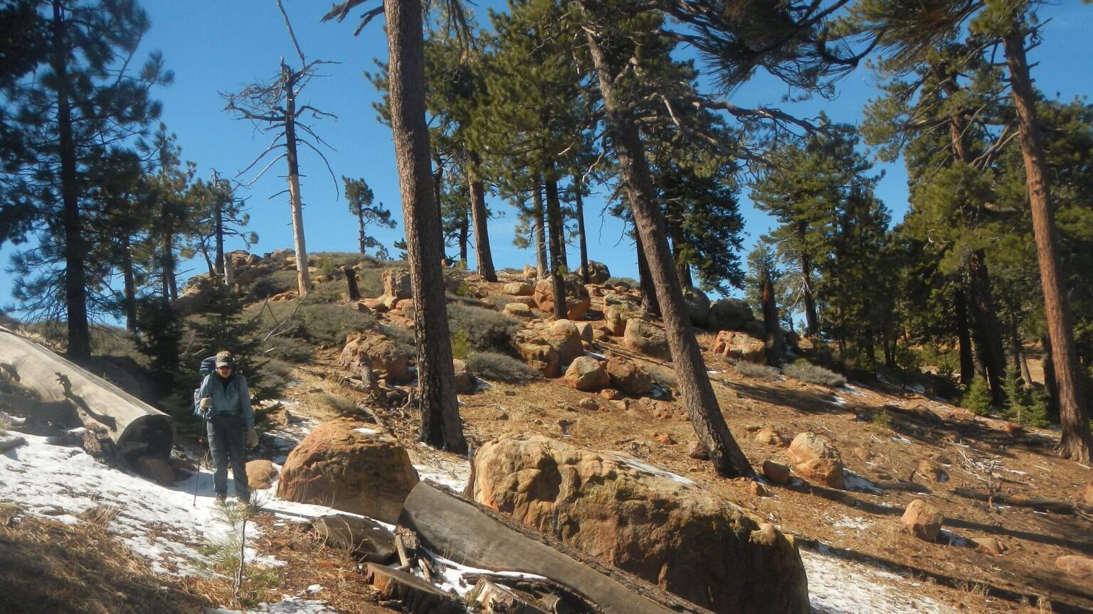 Sespe Wilderness, Haddock Mountain, February 2025