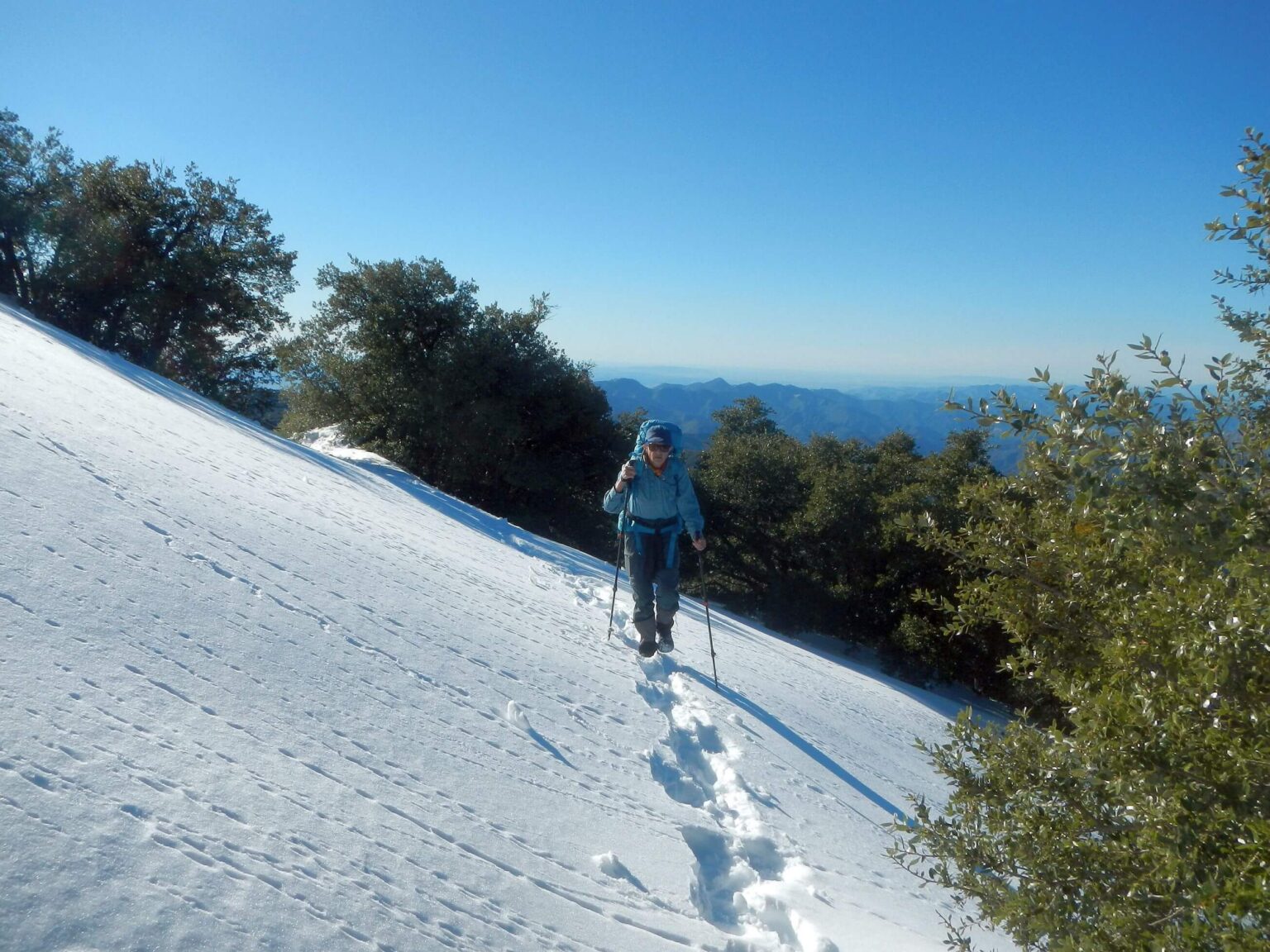 San Rafael Wilderness, Mission Pine Basin, February 2026