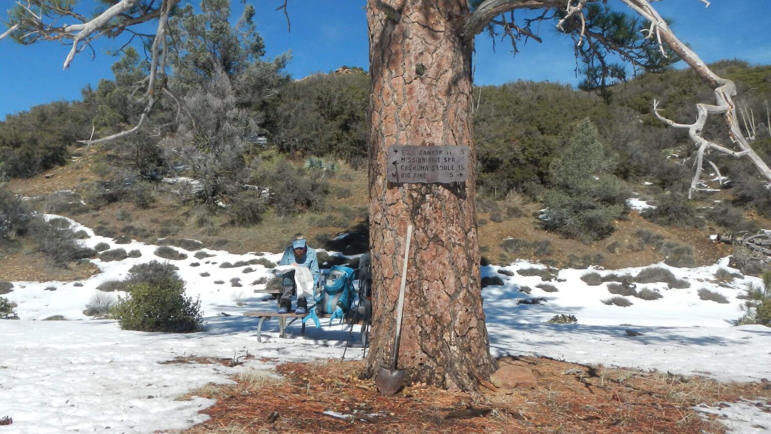 San Rafael Wilderness, Mission Pine Basin, February 2026