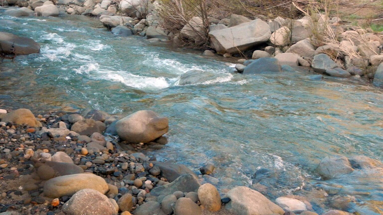 San Rafael Wilderness, Santa Cruz Creek, February 2026