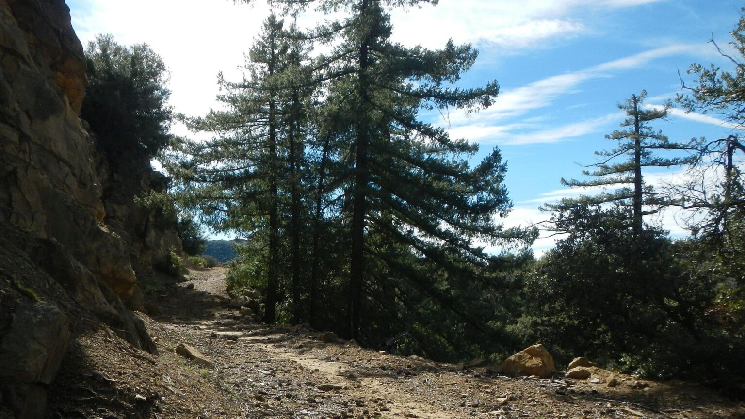 Dick Smith Wilderness, Buckhorn/Big Pine Road, March 2026