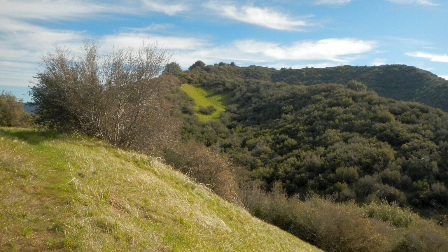 Dick Smith Wilderness, Head of Santa Barbara Canyon, March 2026