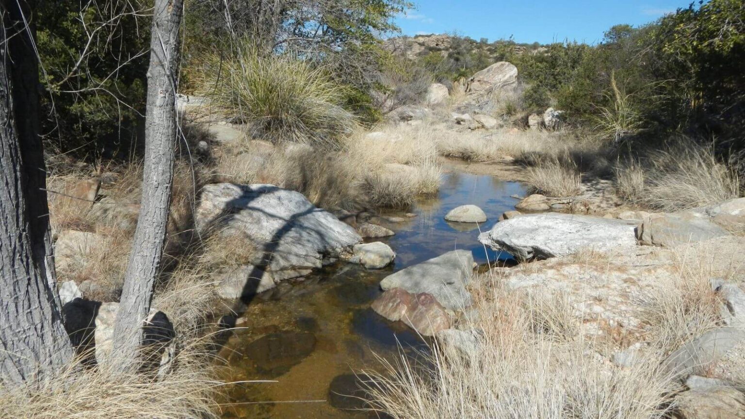 Saguaro Wilderness, backpacking, Douglas Spring, February